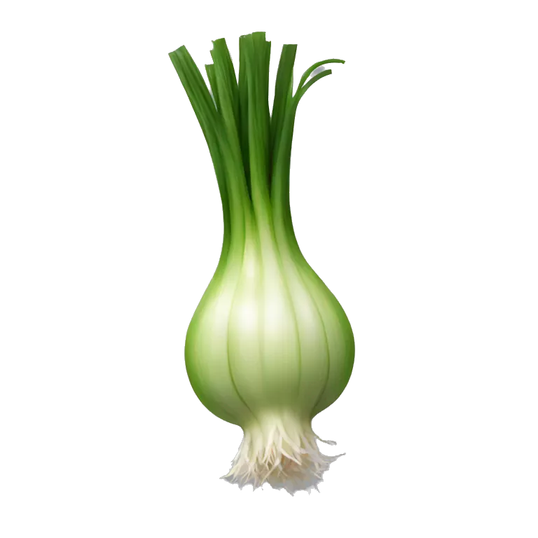 spring onion