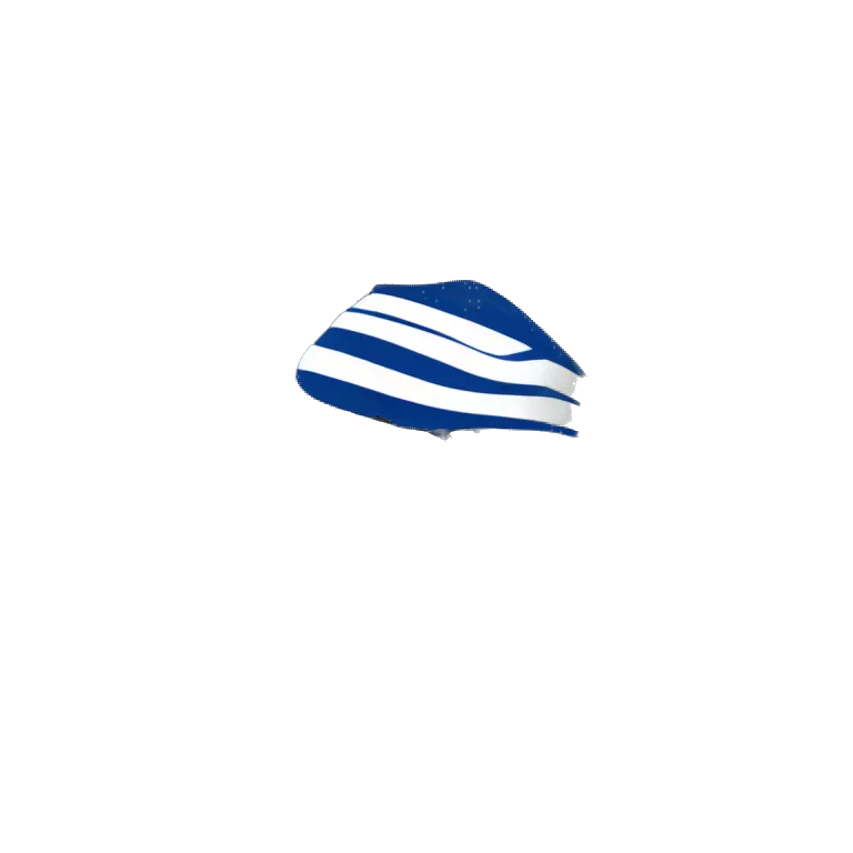 Chase bank logo on a flag