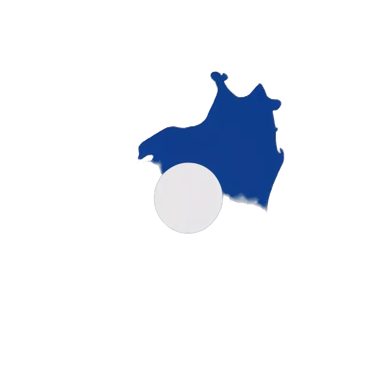 Japanese flag holding a pew pew and a blue background