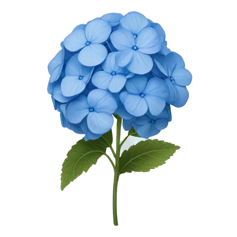 One flower of a blue hydrangea flower