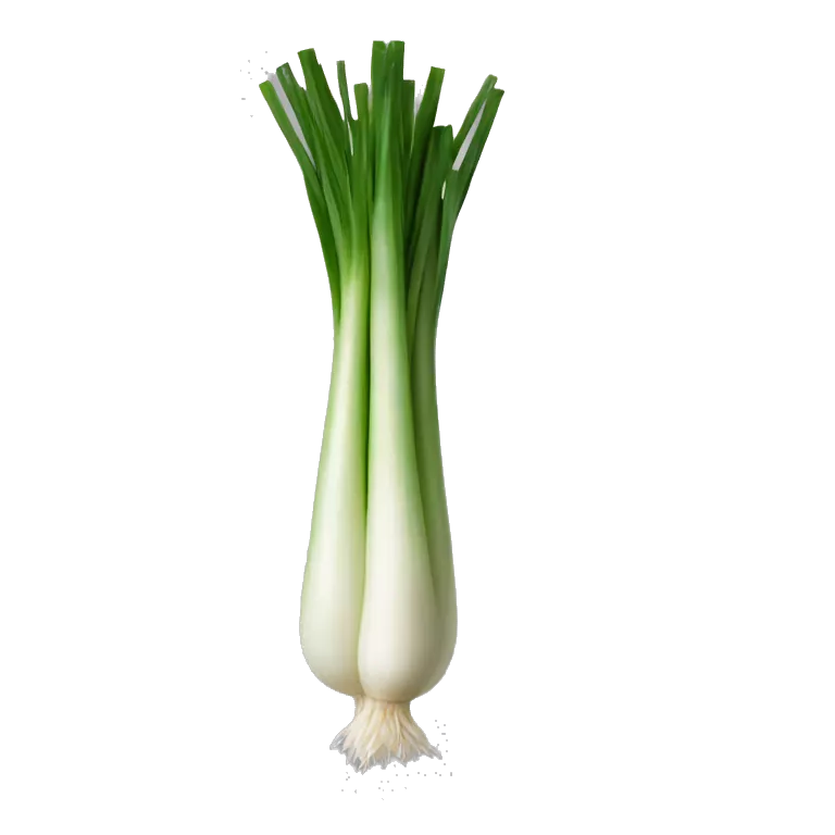 spring onion