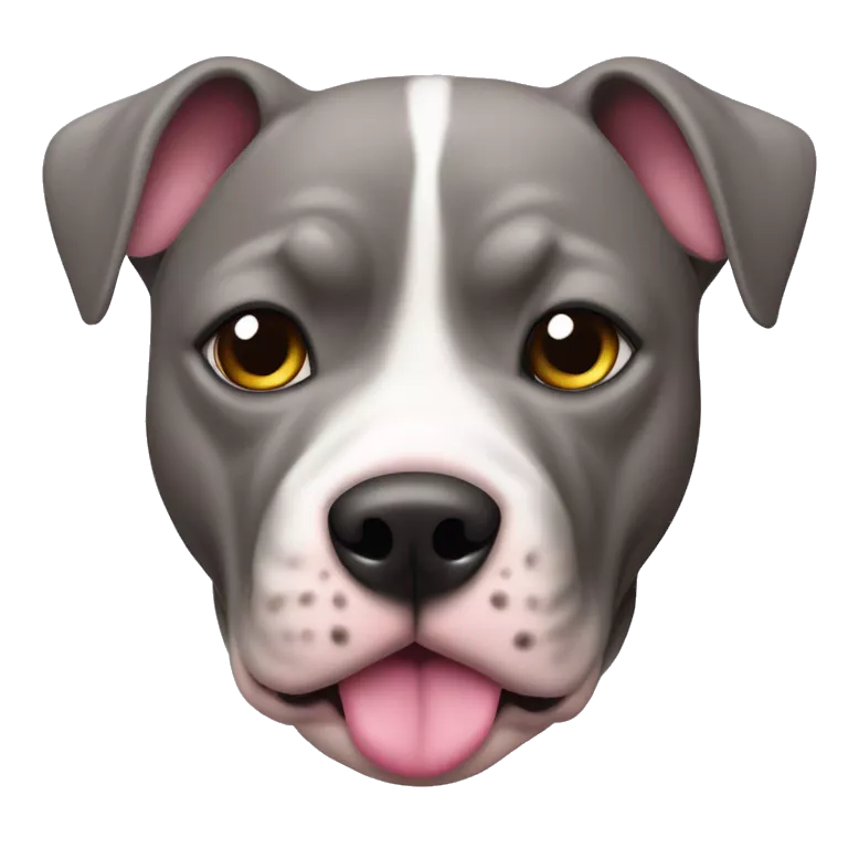 Perro pitbul con manchas grises en la cara con lazo rosa