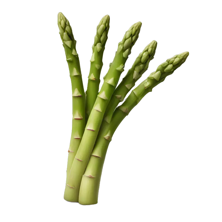 Asparagus cartoon
