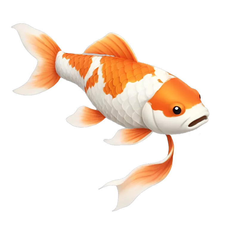 Koi Fish
