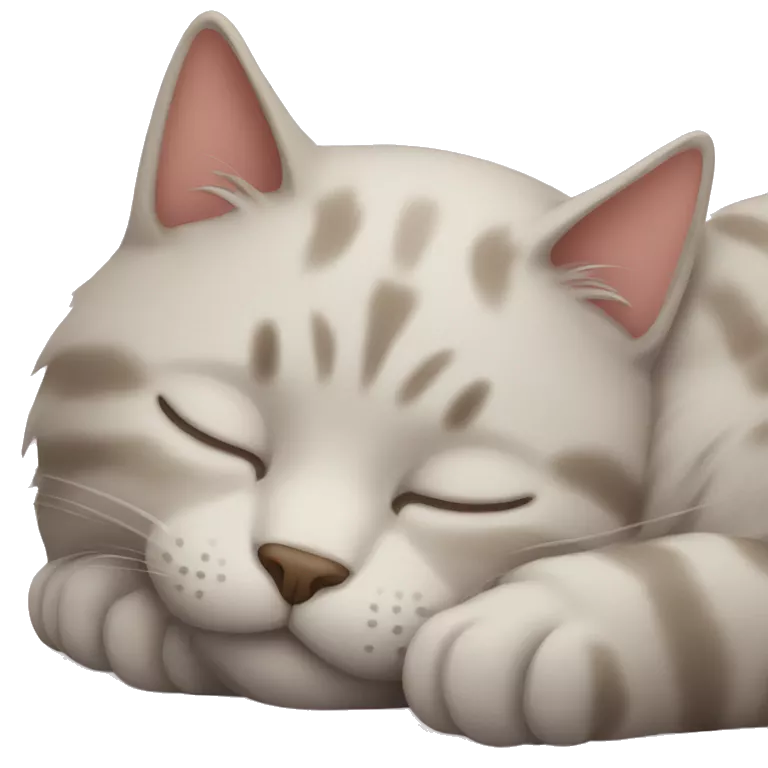 Cat sleep