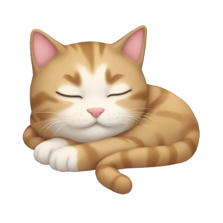 Cat sleep