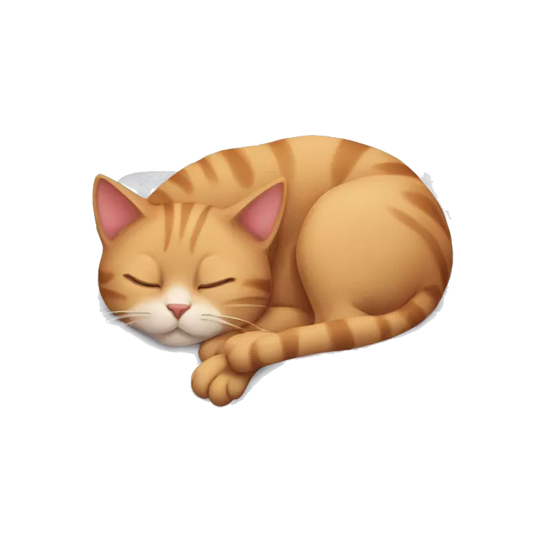 Cat sleep