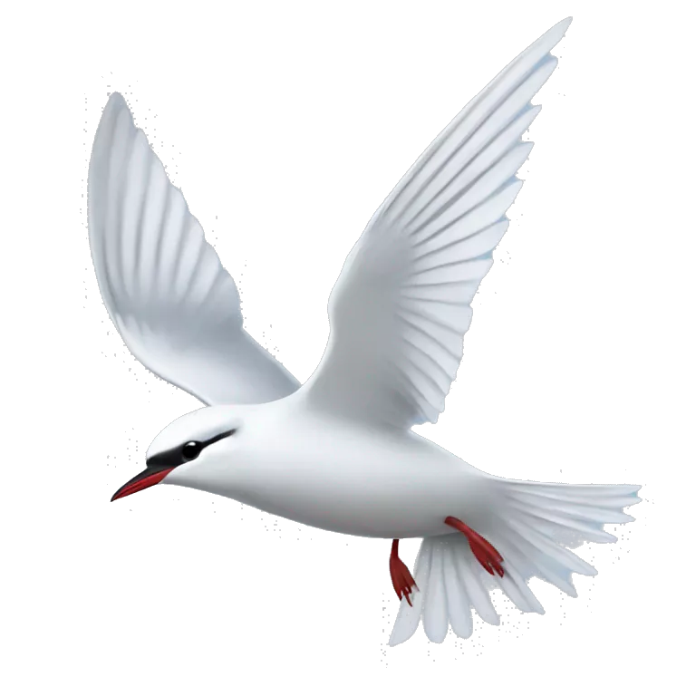 Arctic tern flying