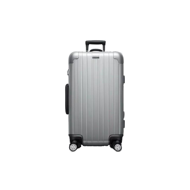 One Rimowa Essential Cabin luggage