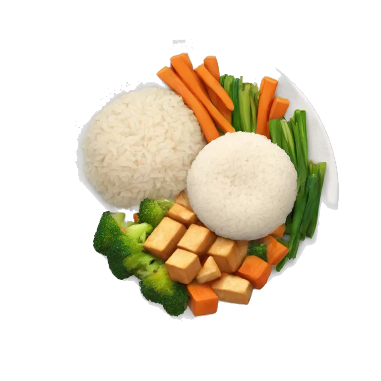 plate with tofu vegetables, rice