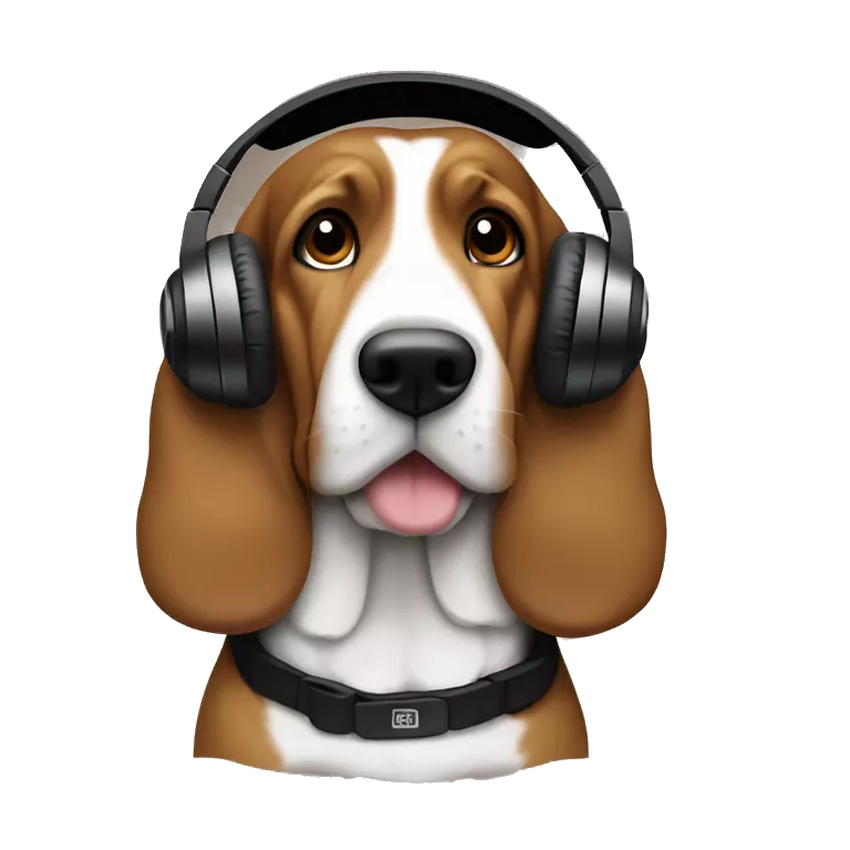 Black and tan bassett with tan chest wearing headphones