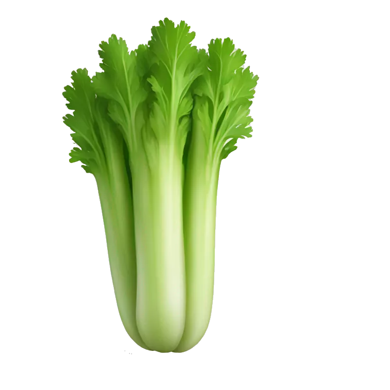 celery