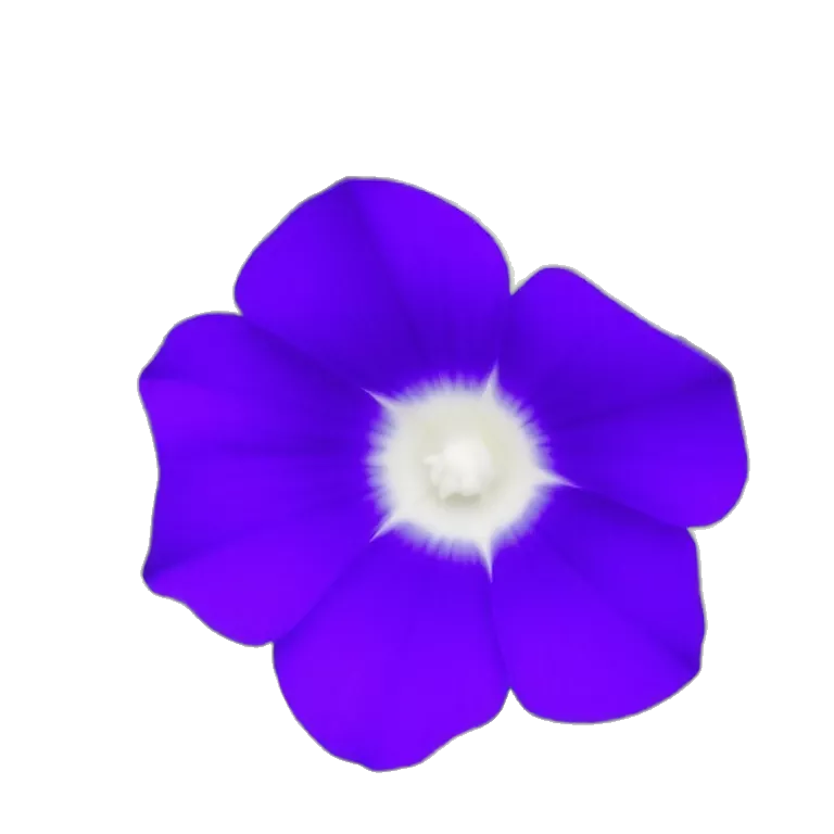 Violet flower