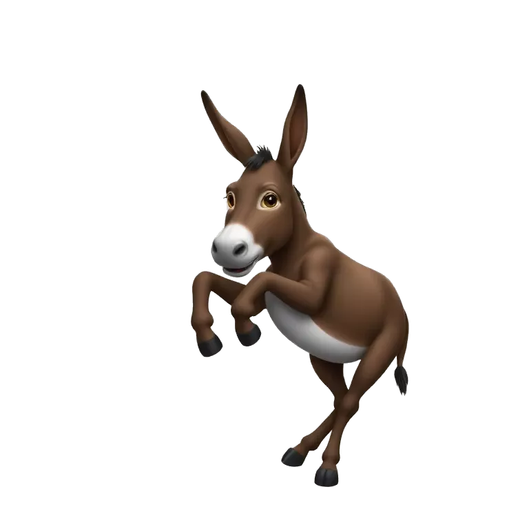 Donkey dancing