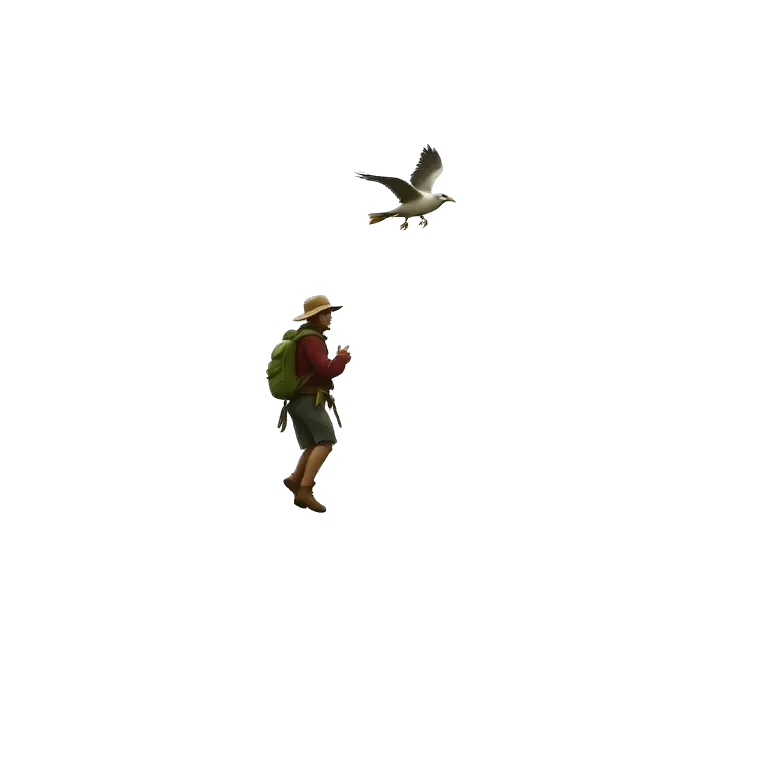 Wildy