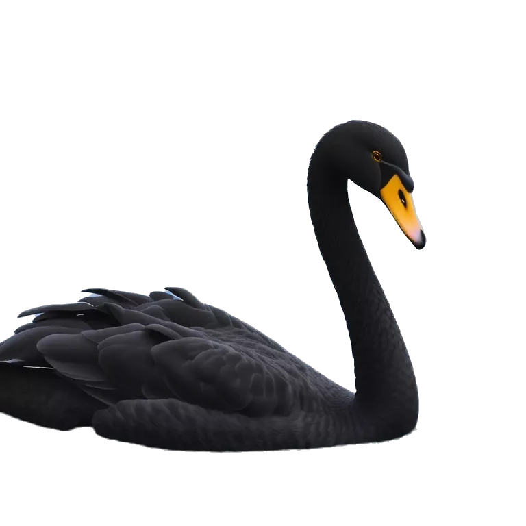 Black swan